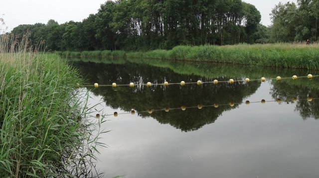 Singels en essen (zondag 12 juni 2016)